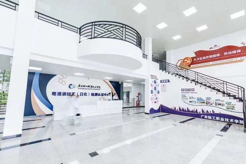 廣東新設職業本科院校首次招生，軟件服務專業迎來210名學子